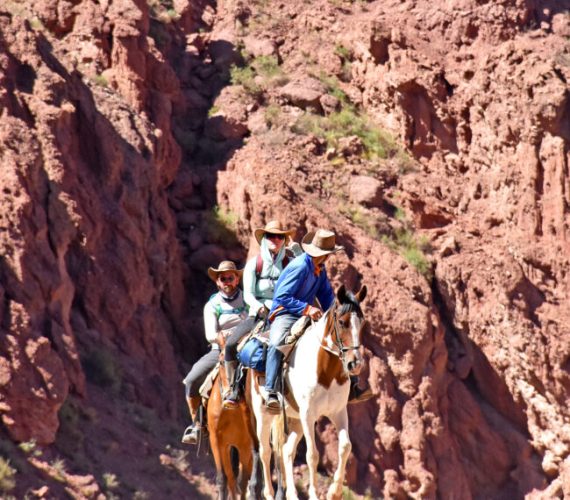 Cabalgatas en Tupiza