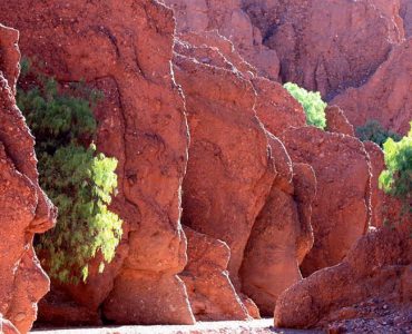 Caminata por los Cañones