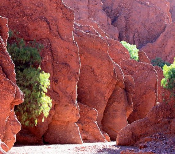 Caminata por los Cañones
